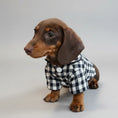 Carica l'immagine nel visualizzatore della galleria, Pyjama pour chien teckel noir et blanc à carreaux avec boutons pour un look élégant