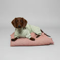 Carica l'immagine nel visualizzatore della galleria, Teckel en pyjama pour teckel rayé vert et blanc, allongé sur un coussin confortable.