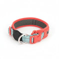 Cargar la imagen en la vista de la galería, Collier AirTag pour chien rouge et bleu avec boucle ajustable et rembourrage confortable