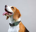 Load image into Gallery viewer, Collier de chien avec support AirTag chien gris d'Oscar et Plume pour localiser animaux