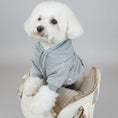 Cargar la imagen en la vista de la galería, Chien blanc portant un sweat capuche pour chien gris confortable assis sur une chaise