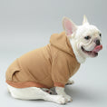 Cargar la imagen en la vista de la galería, Sweat capuche pour petit chien en tissu doux marron, porté par un bouledogue français blanc