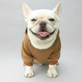 Cargar la imagen en la vista de la galería, Sweat capuche pour petit chien couleur marron porté par un bouledogue français souriant sur fond vert