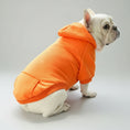 Cargar la imagen en la vista de la galería, Petit chien blanc portant un sweat capuche pour petit chien orange confort et style