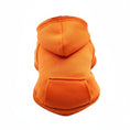 Cargar la imagen en la vista de la galería, Sweat capuche pour petit chien couleur orange chaud et confortable avec poche arrière par Oscar et Plume