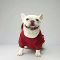 Cargar la imagen en la vista de la galería, Chien blanc portant un sweat capuche pour petit chien rouge confortable à l'extérieur