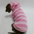 Cargar la imagen en la vista de la galería, Petit chien teckel portant un sweat capuche pour teckel rose à rayures claires et foncées