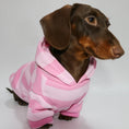 Cargar la imagen en la vista de la galería, Sweat capuche pour teckel rose à rayures blanches porté par un teckel marron assis
