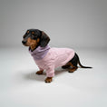 Carica l'immagine nel visualizzatore della galleria, Sweat col haut pour teckel en rose avec un col violet pour un style confortable