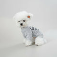 Charger l'image dans la visionneuse de la galerie, Petit chien blanc portant un sweat gris pour chien confortable d'Oscar et Plume à manches courtes