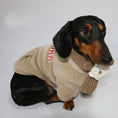 Cargar la imagen en la vista de la galería, Chien teckel portant un sweat polaire pour teckel beige confortable avec écharpe décorative