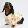 Cargar la imagen en la vista de la galería, Teckel noir et feu portant un sweat polaire pour teckel à carreaux beiges et blancs