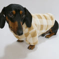Cargar la imagen en la vista de la galería, Sweat polaire pour teckel en beige à carreaux porté par un chien teckel noir et feu