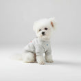 Cargar la imagen en la vista de la galería, Petit chien blanc portant un sweat pour chien petit gris avec motif floral sur le canapé