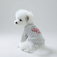 Charger l'image dans la visionneuse de la galerie, Sweat pour chien petit gris avec motif cœur rose porté par un chien blanc assis sur un canapé
