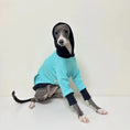 Cargar la imagen en la vista de la galería, Chien lévrier portant un sweat pour lévrier bleu clair avec capuche et manches longues