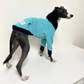 Cargar la imagen en la vista de la galería, Lévrier portant un sweat pour lévrier bleu et noir confortable signé Oscar et Plume