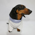 Load image into Gallery viewer, Sweat pour teckel col chemise de Oscar et Plume avec un design élégant et confortable