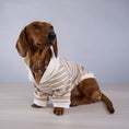 Carica l'immagine nel visualizzatore della galleria, Sweat rayures pour teckel en beige et blanc avec col en V pour un look élégant