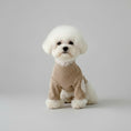 Cargar la imagen en la vista de la galería, Chien blanc porte un sweat-shirt chien coton beige à manches longues et patchs blancs