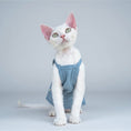 Load image into Gallery viewer, T-shirt coton pour chat en bleu, confortable et élégant pour les félins stylés