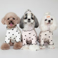 Carica l'immagine nel visualizzatore della galleria, Trois petits chiens portant des t-shirts coton pour petit chien avec des motifs en cœur.