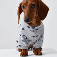 Carica l'immagine nel visualizzatore della galleria, T-shirt coton pour teckel avec motifs étoilés en gris et bleu marine pour un look confortable