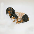 Carica l'immagine nel visualizzatore della galleria, T-shirt coton pour teckel à rayures marron et crème, confortable pour les chiens