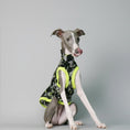 Load image into Gallery viewer, T-shirt lévrier anti uv en camouflage noir et jaune pour protéger votre chien du soleil