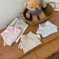 Load image into Gallery viewer, T-shirt manches volantes pour teckel en rose, bleu clair et beige sur une table en bois