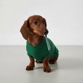 Carica l'immagine nel visualizzatore della galleria, T-shirt pour chien teckel en vert avec col rond, idéal pour le confort de votre animal