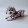 Carica l'immagine nel visualizzatore della galleria, T-shirt pour petit chien rayé en couleurs vives, parfait pour les promenades stylées