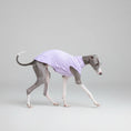 Cargar la imagen en la vista de la galería, T-shirt protection pour lévrier en violet, conçu pour le confort et la protection de votre chien.