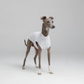 Cargar la imagen en la vista de la galería, T-shirt protection solaire Lévrier en blanc, idéal pour protéger votre chien du soleil