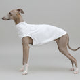 Cargar la imagen en la vista de la galería, T-shirt protection solaire Lévrier blanc pour chiens, conçu pour un confort optimal en extérieur