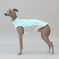 Carica l'immagine nel visualizzatore della galleria, T-shirt rafraîchissant lévrier en tissu léger avec maille pour garder votre chien frais