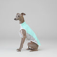 Carica l'immagine nel visualizzatore della galleria, T-shirt rafraîchissant lévrier en bleu clair pour garder votre chien à l'aise pendant l'été
