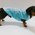 Carica l'immagine nel visualizzatore della galleria, T-shirt rafraîchissant pour teckel de couleur bleue, idéal pour garder votre chien au frais en été