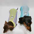 Carica l'immagine nel visualizzatore della galleria, T-shirt rafraîchissant pour teckel en vert et violet, idéal pour garder votre chien au frais