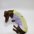 Carica l'immagine nel visualizzatore della galleria, T-shirt rafraîchissant pour teckel en tissu léger avec capuche dans des tons violet et jaune