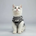 Load image into Gallery viewer, Chat portant un t-shirt rayé pour chat de la marque Oscar et Plume, regardant vers le haut