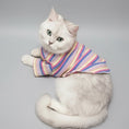 Charger l'image dans la visionneuse de la galerie, T-shirt rayé pour chat en pastel, confortable et stylish pour votre félin