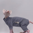 Cargar la imagen en la vista de la galería, T-shirt rayé pour chat Sphynx en bleu et blanc, adapté pour le confort de votre animal
