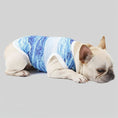 Carica l'immagine nel visualizzatore della galleria, Chien portant un t-shirt respirant pour chien bleu avec motif glacé par Oscar et Plume