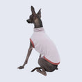 Carica l'immagine nel visualizzatore della galleria, T-shirt respirant pour lévrier en rose avec col haut, parfait pour le confort de votre animal