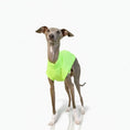 Carica l'immagine nel visualizzatore della galleria, T-shirt respirant pour lévrier en vert fluo, parfait pour les journées ensoleillées