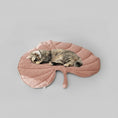 Charger l'image dans la visionneuse de la galerie, Chat couché sur un tapis chat et chien rose en forme de feuille sur un lit avec couverture tricotée