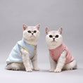 Load image into Gallery viewer, Deux chats portant des tee-shirts chauds pour chat, l'un bleu et l'autre rose, assis sur un canapé