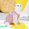 Charger l'image dans la visionneuse de la galerie, Chat blanc portant un tee-shirt post opératoire chat rayé rouge et blanc pour protection après chirurgie