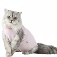 Carica l'immagine nel visualizzatore della galleria, Chat portant un t-shirt post opération chat rose avec options jaunes bleues pour soins postopératoires